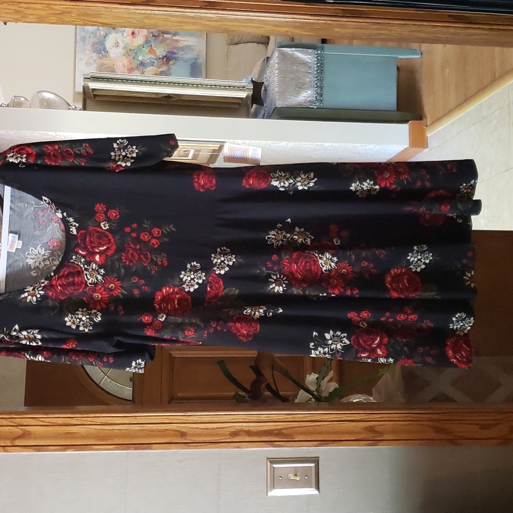 Lularoe Nicole